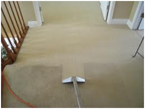 powerful carpet cleaning tool